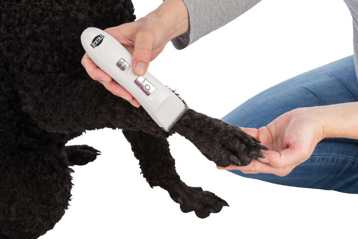 TRIXIE Schermaschinen-Set Akku TR1150, 6 W